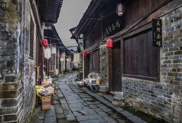 如何评价高圆圆的演技？知识星球平台-专业分享与学习交流