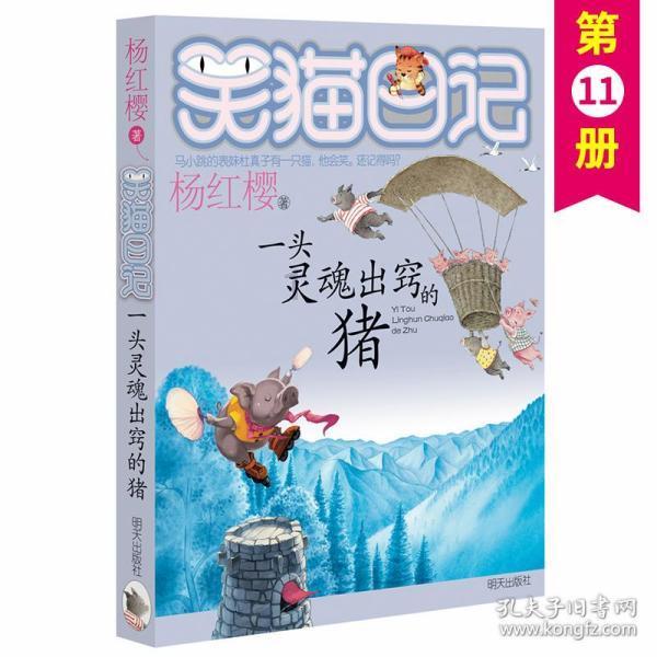 神秘的演员